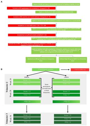 Altered dietary behaviour during pregnancy impacts systemic metabolic phenotypes